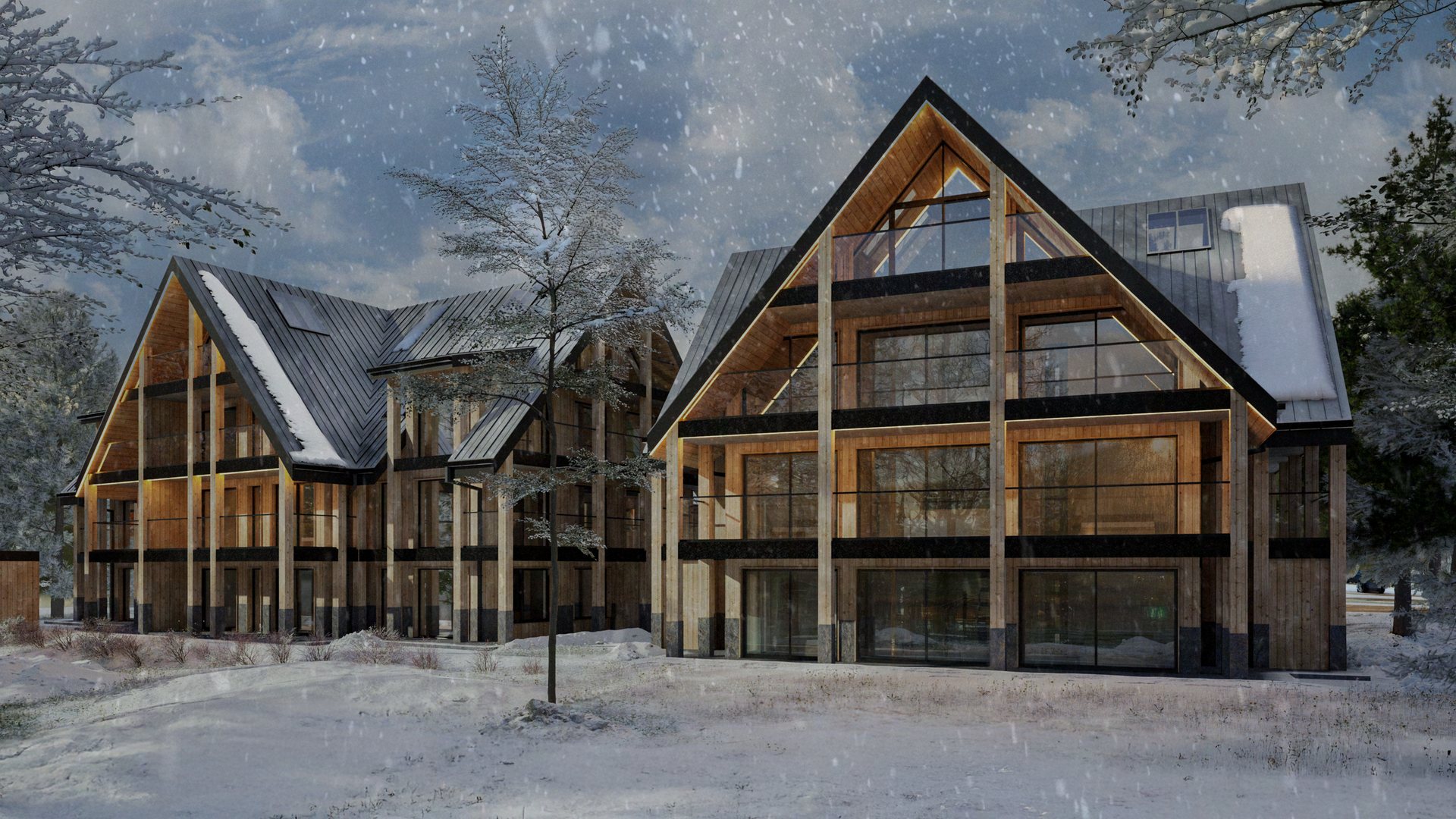 Kasprowy Park zimą, Zakopane, ul. Karłowicza